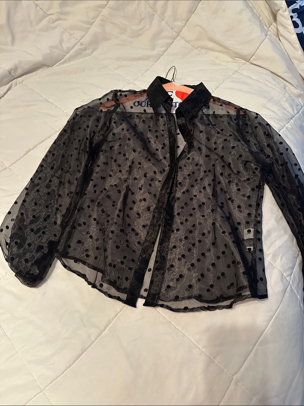 New York & Company Sheer Black Polka Dot Blouse